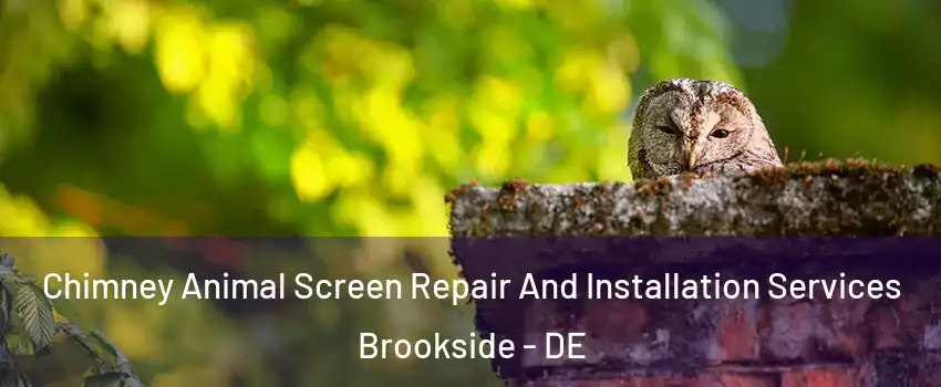  Chimney Animal Screen Repair And Installation Services Brookside - DE