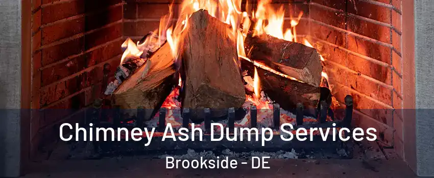  Chimney Ash Dump Services Brookside - DE