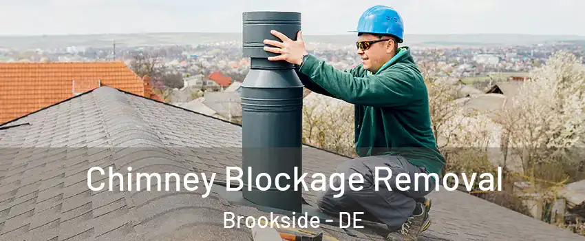 Chimney Blockage Removal Brookside - DE
