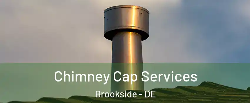  Chimney Cap Services Brookside - DE