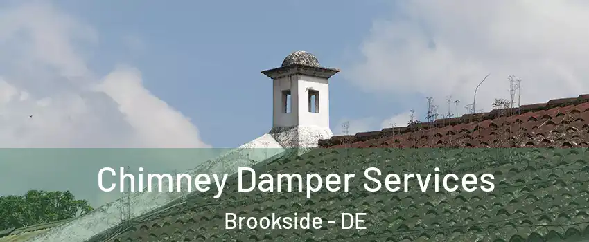  Chimney Damper Services Brookside - DE