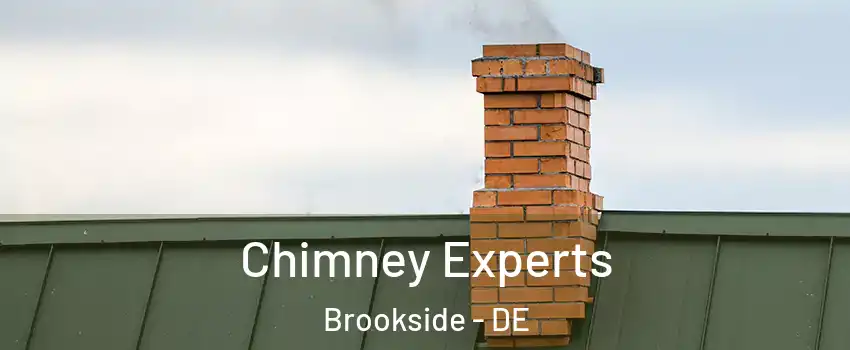  Chimney Experts Brookside - DE