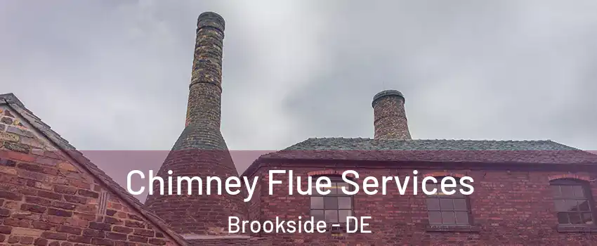  Chimney Flue Services Brookside - DE