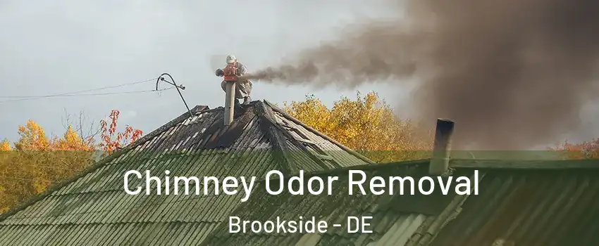 Chimney Odor Removal Brookside - DE