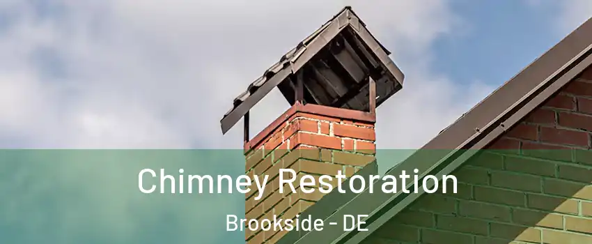  Chimney Restoration Brookside - DE