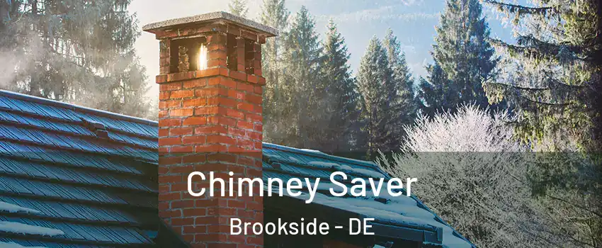  Chimney Saver Brookside - DE