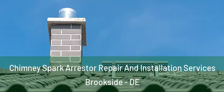 Chimney Spark Arrestor Repair And Installation Services Brookside - DE