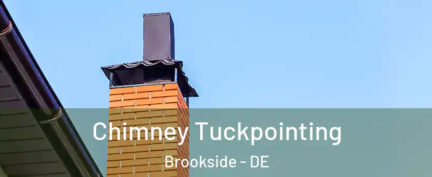  Chimney Tuckpointing Brookside - DE