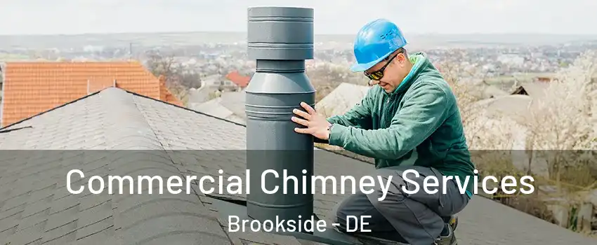  Commercial Chimney Services Brookside - DE