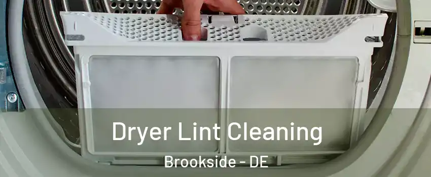  Dryer Lint Cleaning Brookside - DE