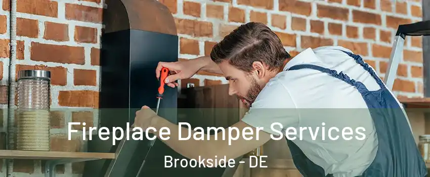  Fireplace Damper Services Brookside - DE