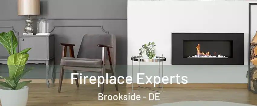  Fireplace Experts Brookside - DE
