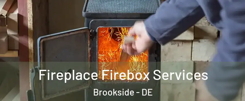  Fireplace Firebox Services Brookside - DE