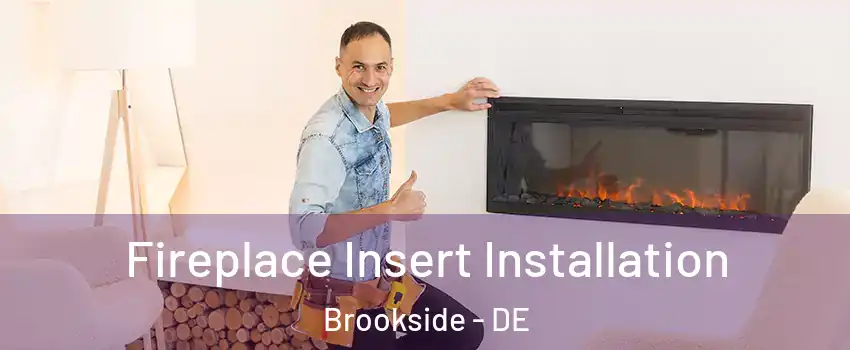  Fireplace Insert Installation Brookside - DE