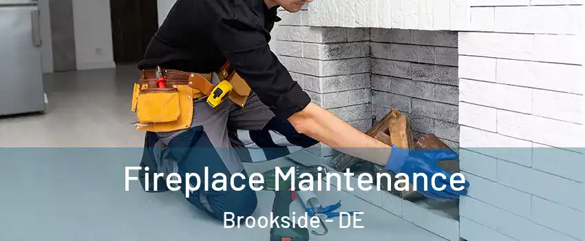  Fireplace Maintenance Brookside - DE