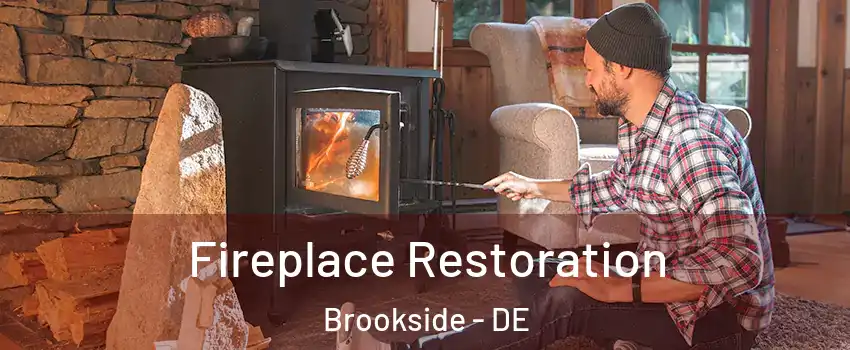  Fireplace Restoration Brookside - DE