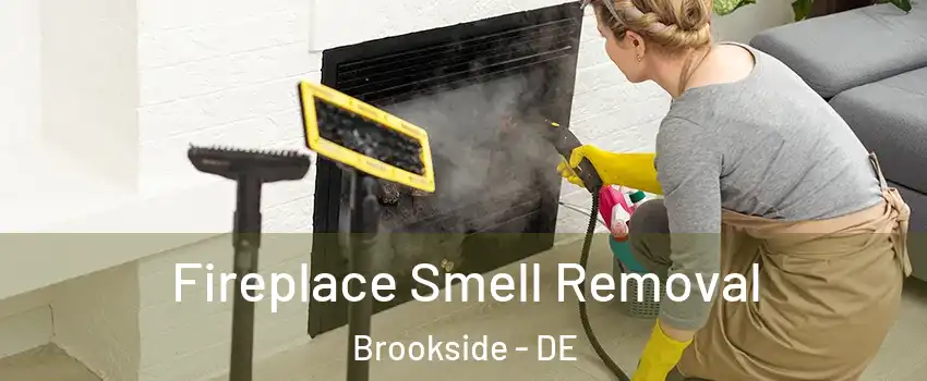  Fireplace Smell Removal Brookside - DE