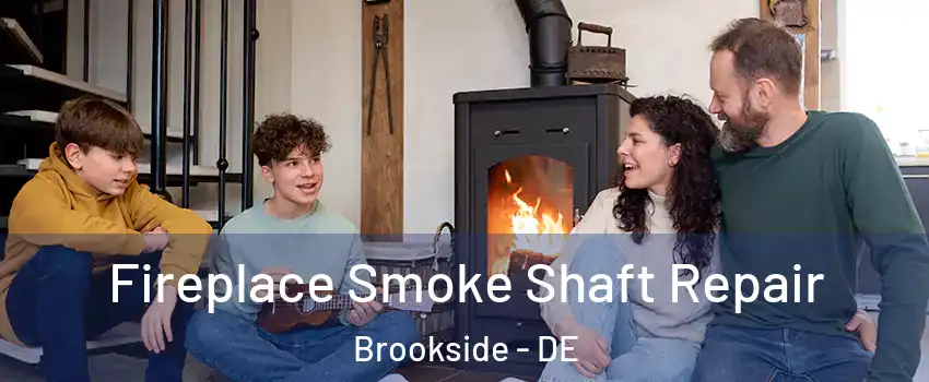  Fireplace Smoke Shaft Repair Brookside - DE