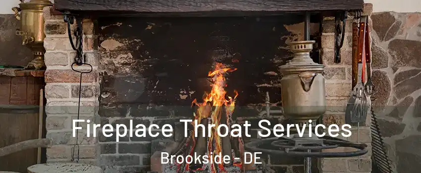  Fireplace Throat Services Brookside - DE
