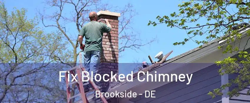  Fix Blocked Chimney Brookside - DE
