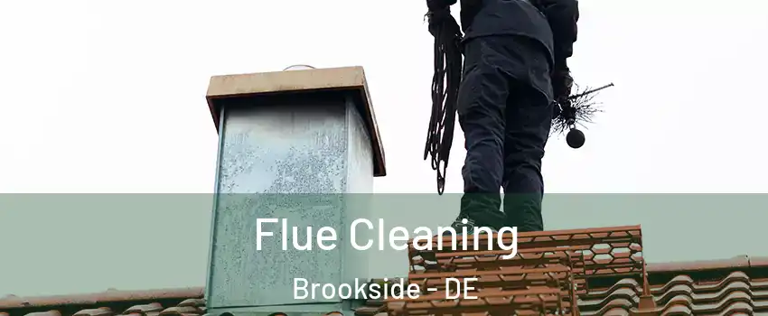  Flue Cleaning Brookside - DE