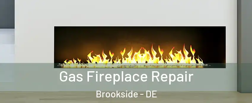  Gas Fireplace Repair Brookside - DE
