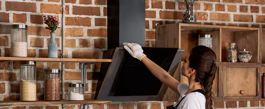 Chimney Installation in Brookside, DE