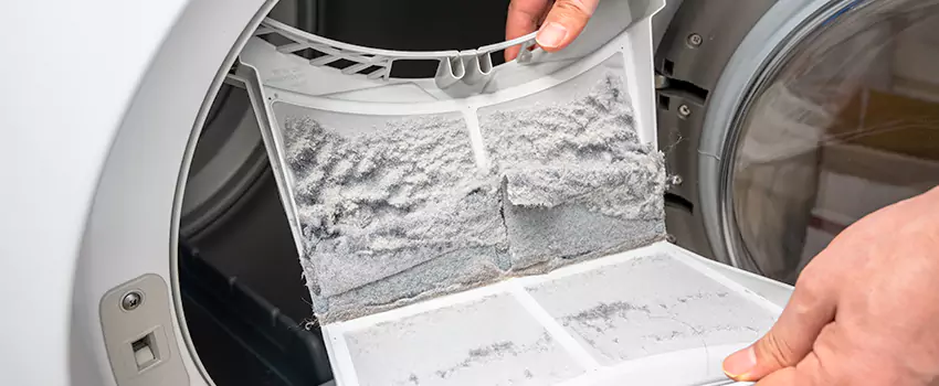 Best Dryer Lint Removal Company in Brookside, Delaware