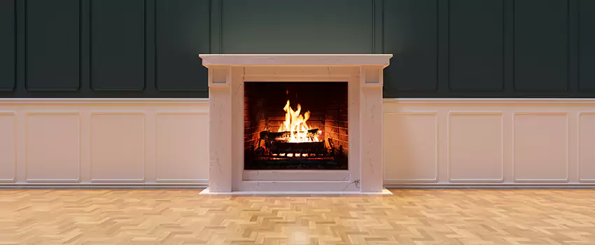 Napoleon Electric Fireplaces Inspection Service in Brookside, Delaware