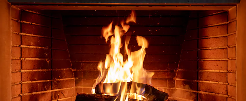 Soot Cleanup Services in Brookside, DE