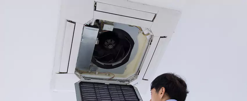 Benefits of Professional Air Duct Cleaning in Brookside, Delaware