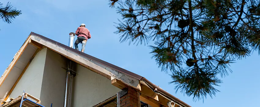 Birds Removal Contractors from Chimney in Brookside, DE