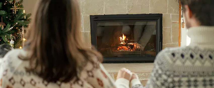 Fireplace Firebox Refurbish & Restore Services in Brookside, DE