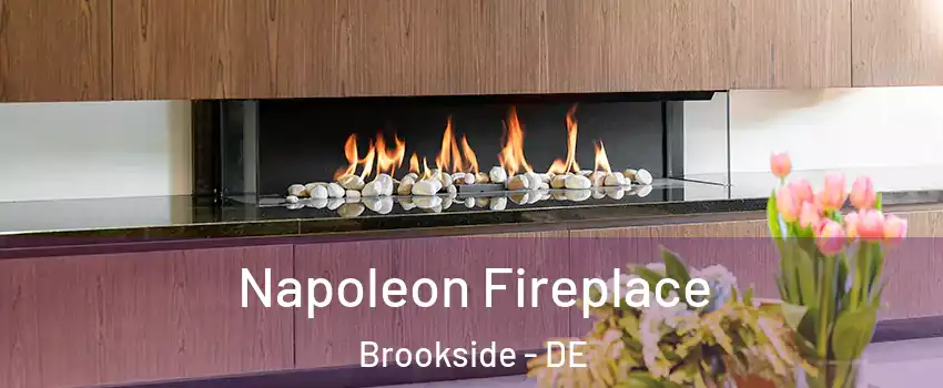  Napoleon Fireplace Brookside - DE